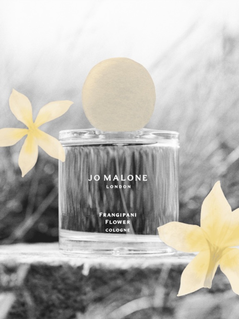 Jo Malone Frangipani Flower Cologne - full size 100ml -BNIB